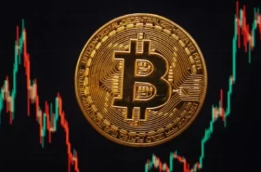 crypto Down